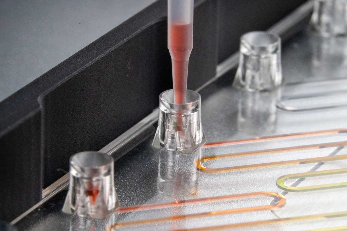 A 50 μL pipette tip engaged in a pipette interface and dispensing red fluidic into the fluidic channel.