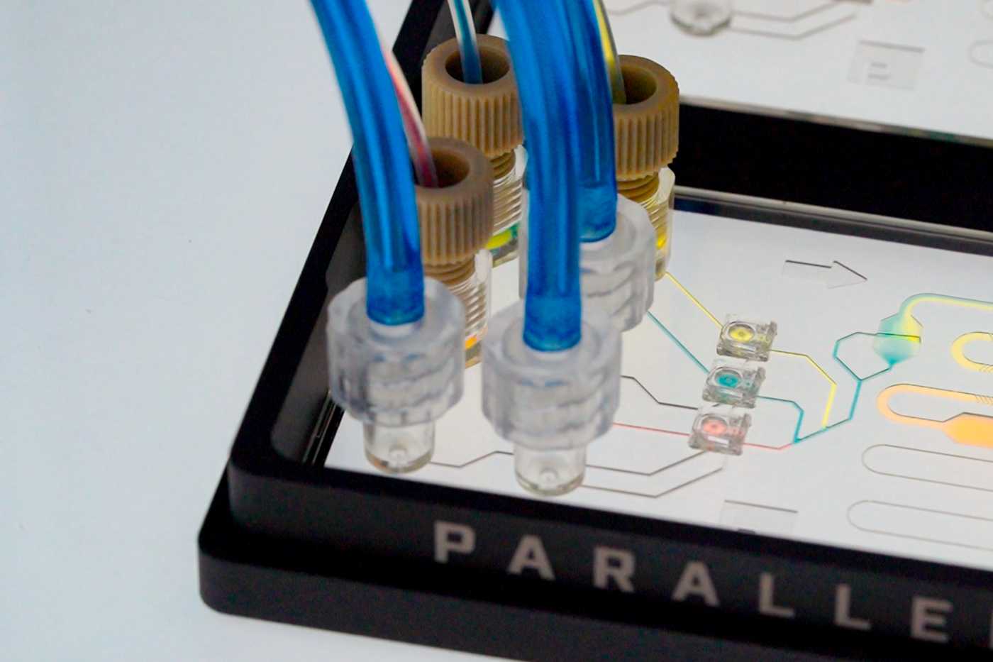 A double slide format microfluidic device with three capillary tube interfaces and three Luer interfaces. These interfaces connect to microvalves in the microfluidic device, mixing different colored liquids together to form a rainbow.