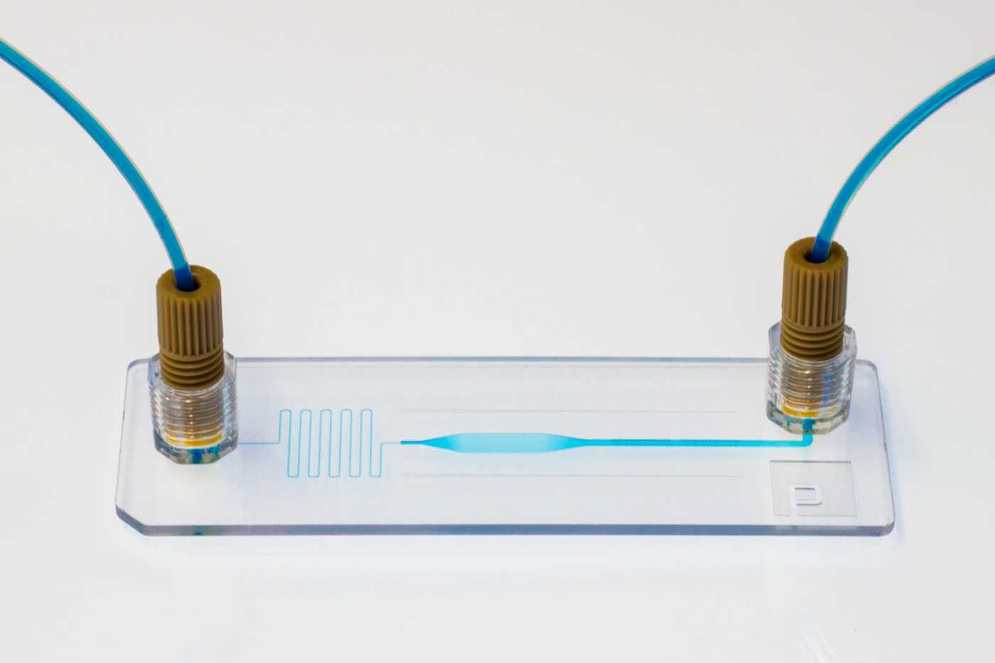 A slide format microfluidic device with two 1/4-18 capillary tube interfaces. Blue fluid can be seen flowing through the device.