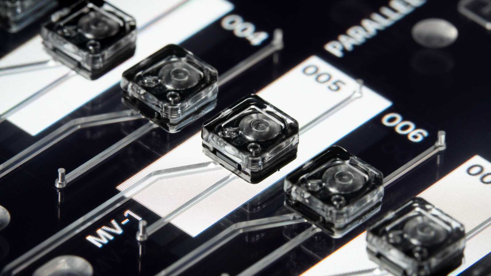 A row of numbered MV-1 microvalves on a striped background, being lit from below. The microvalves sit on a double-slide format microfluidic devices that does not have other hardware mounted to it yet.